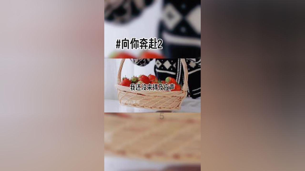 卡哇伊拳击手